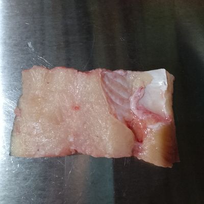 Langkah 1