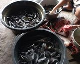 Foto langkah ke 1 dari resep Lele Goreng Kriuk.