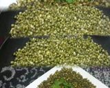 A picture of step 1 of Simple Fried Moong Daal.
