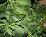 મેથીના મુઠીયા (Methi Muthiya recipe in Gujarati) રેસીપી સ્ટેપ4ફોટો