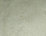A picture of step 7 of Bread Pin Wheels Samosa.