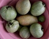 รูปขั้นตอนการทำที่ 1 ของ ม็อคเทลมะม่วงฝรั่งโซดา🥭🍋🥤