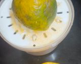 A picture of step 1 of OrNate (orange + pomegranate).