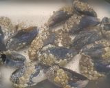 Kék (fekete) kagyló saját levében tejszínesen recept fázis 1 fotója