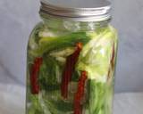 Fermented spring onions and cabbage Thai style recipe step 6 photo