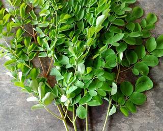 Cendol Daun Kelor Homemade - Step 1