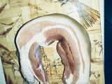 Солим салко - очень вкусно и просто