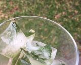 Foto langkah ke 2 dari resep Juice Melon Cucumber Mint.