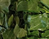 Foto del paso 1 de la receta: Strüdel de Acelgas