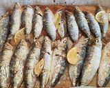 Foto del paso 5 de la receta Sardinas asadas al horno