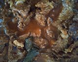 Gambar langkah 9 resipi Daging Gulai Kawah Kelantan.