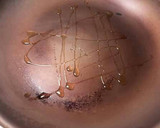 Foto del paso 8 de la receta: Keftas especiadas con cebolla y ajos