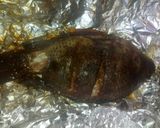 A picture of step 3 of Gashin kifi.