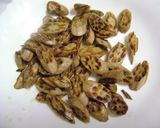 A picture of step 1 of Nadru Yakhni.