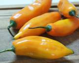 My Grilling Spot Yellow Chili Sauce recipe step 2 photo