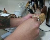 Foto del paso 1 de la receta: La seta hecha canelón