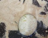 Foto del paso 5 de la receta: Milanesa de Berenjena sin necesidad de quitarle el amargor