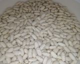 Foto del paso 1 de la receta: Judías blancas