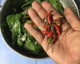 รูปขั้นตอนการทำที่ 2 ของ ผักขมผัดไข่