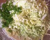 A picture of step 3 of 66 • Okonomiyaki or "Japanese Pizza" 🇯🇵.