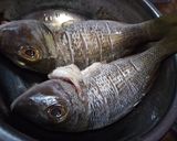Foto langkah ke 1 dari resep Ikan Kuah Manis.