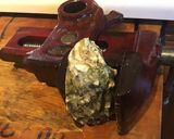 A picture of step 5 of California Farm Oysters Rockefeller.
