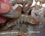 A picture of step 1 of Lemon Shrimp.