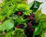 รูปขั้นตอนการทำที่ 2 ของ ต้มยำไก่ใบหม่อนมะขามอ่อน
