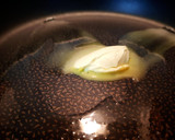 Foto del paso 1 de la receta: Davidcocho de plátano