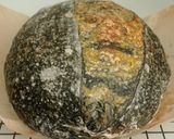 Foto langkah ke 25 dari resep Pandan Charcoal Sourdough Bread (88% - Oven Tangkring).