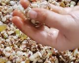 ડ્રાય ફ્રૂટસ લાડુ(Dryfruits ladoo recipe in Gujarati) રેસીપી સ્ટેપ4ફોટો