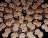 Foto del paso 5 de la receta: Bizcochitos de queso crema + quesos sardo y colorado