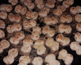 Foto del paso 5 de la receta: Bizcochitos de queso crema + quesos sardo y colorado
