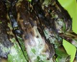 Foto langkah ke 5 dari resep Nasi bakar.