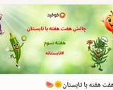 عکس مرحله 1 از دستور کباب برمه ای (رول بادمجان)🍆