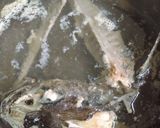 Foto del paso 2 de la receta: Caldo Base de Pescado