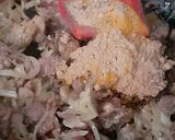 Foto langkah ke 3 dari resep Maroko Harira Sup.