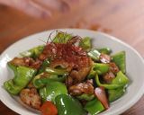 (影音)青椒豬五花的食譜步驟5照片