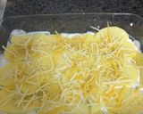 Foto del paso 2 de la receta: Pastel de patata y cía