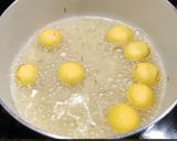 A picture of step 5 of Rasagulla.