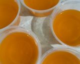 Foto langkah ke 3 dari resep Puding Jeruk Vla Susu.