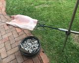 Foto del paso 2 de la receta: Panceta de cerdo asada