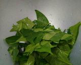 Foto langkah ke 1 dari resep Cincau hijau(home Made).