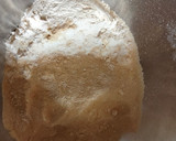 A picture of step 1 of Double layer Soy flour and spring onion Paratha.