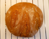 Foto del paso 8 de la receta: Pan casero de espelta integral