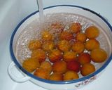 Barackos túrós sütemény recept fázis 1 fotója