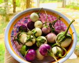 Hình bước làm 1 của món Cà pháo trộn sa tế