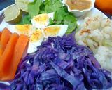Foto langkah ke 3 dari resep Salad Kol Ungu.