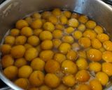 Foto langkah ke 2 dari resep Kolak Biji Salak Pelangi.