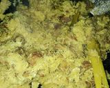 Foto langkah ke 3 dari resep Serundeng Daging Sapi #kitaberbagi.